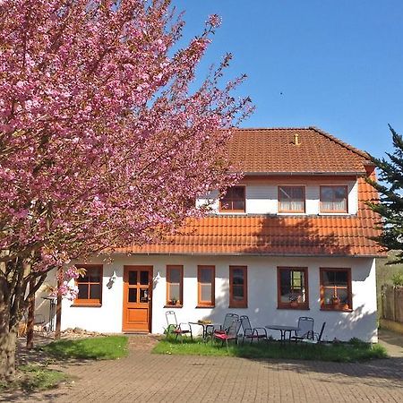 Landpension Zum Kleinen Urlaub Wredenhagen Quarto foto