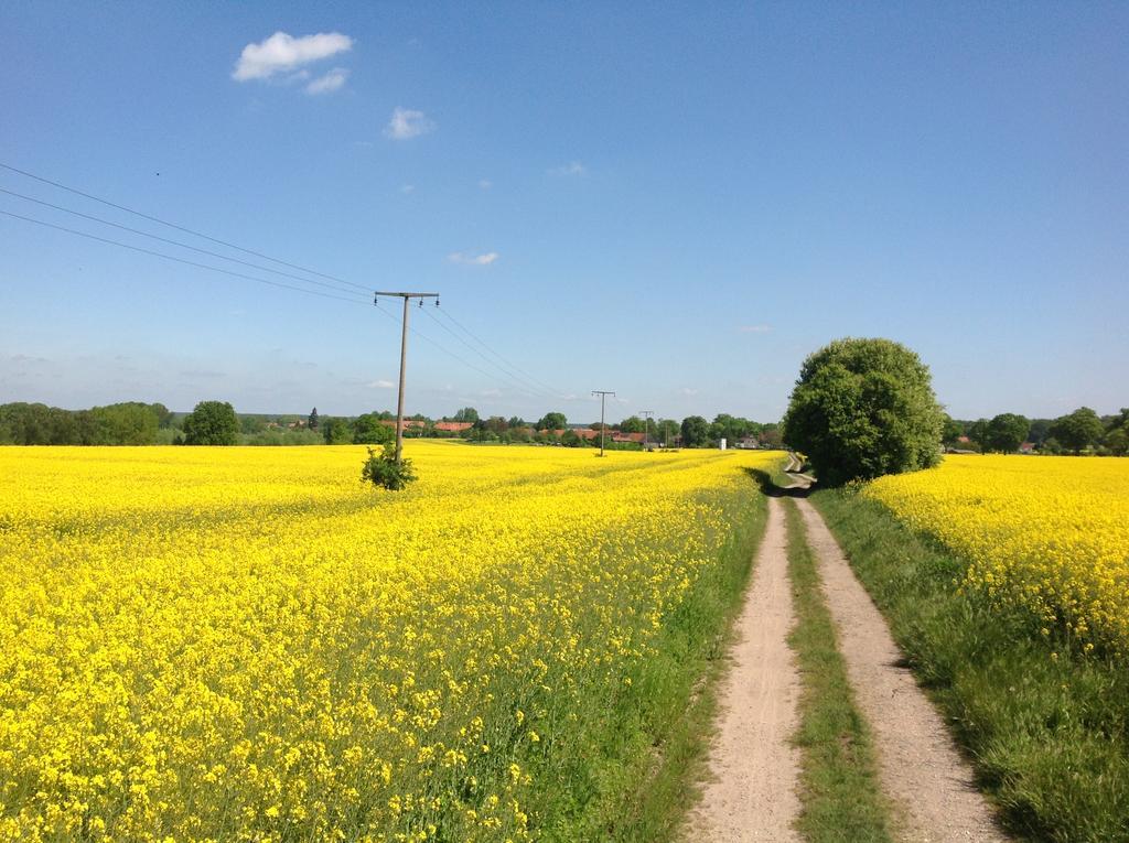 Landpension Zum Kleinen Urlaub Wredenhagen Exterior foto